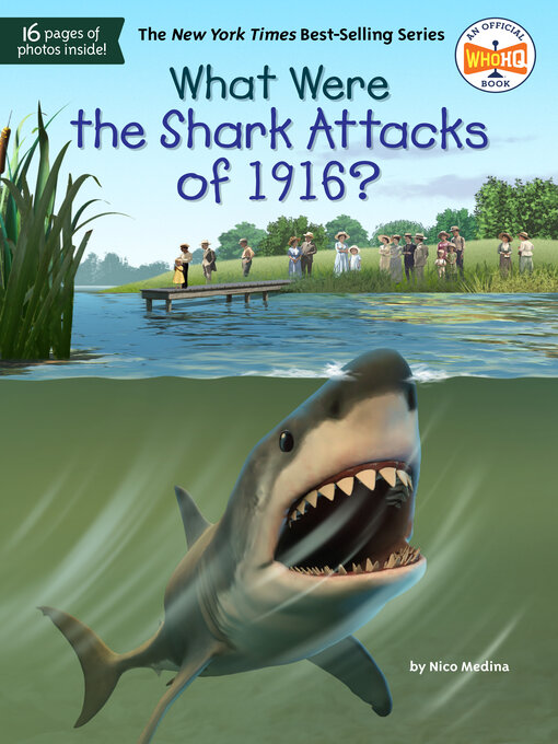 Cover image for What Were the Shark Attacks of 1916?